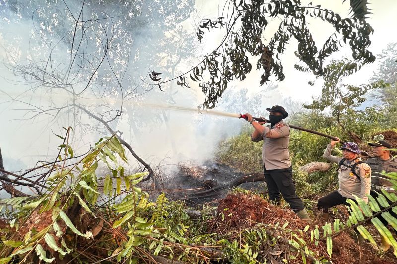 Karhutla 10 Hektare di Habitat Harimau Riau Berhasil Dipadamkan